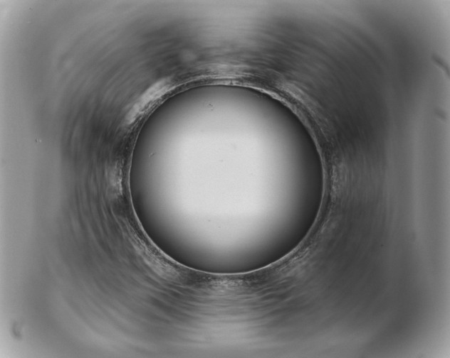 X0000103261451200808291207