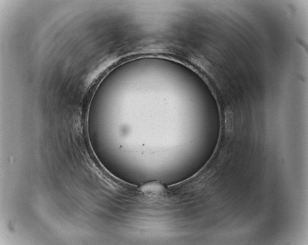 X0000103261452200808291207