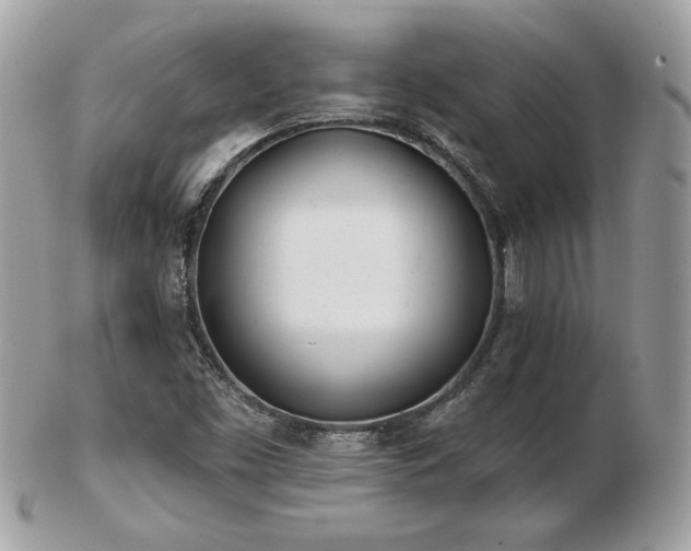 X0000103261453200808291207