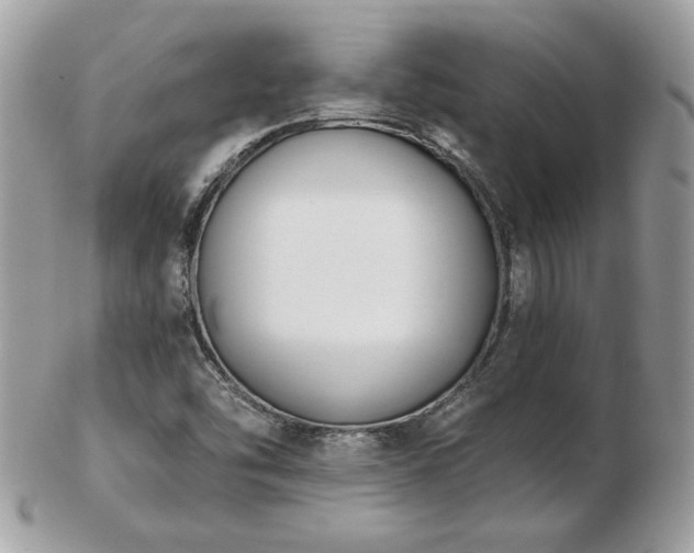 X0000103261454200808291207