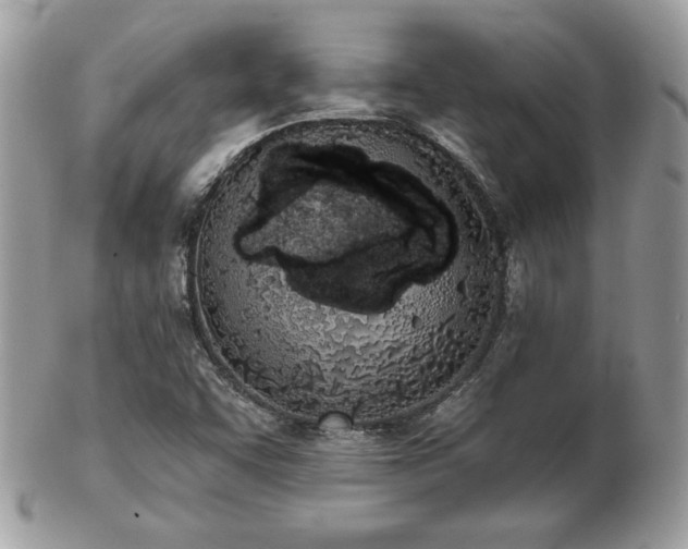 X0000103261455200808291207