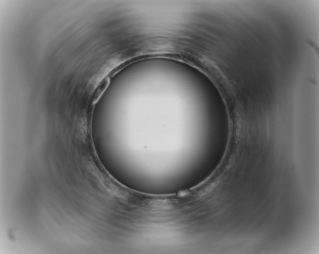 X0000103261457200808291207