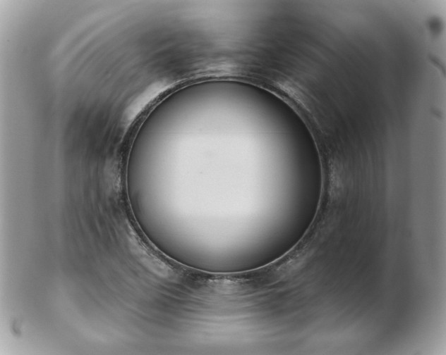 X0000103261458200808291207