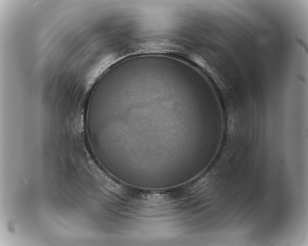 X0000103261459200808291207