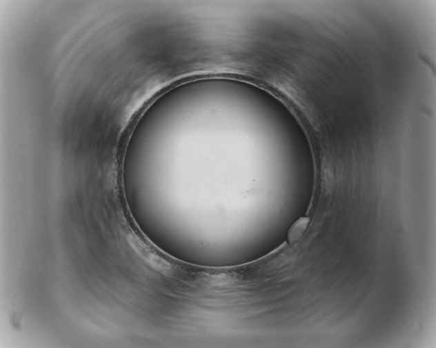 X0000103261460200808291207