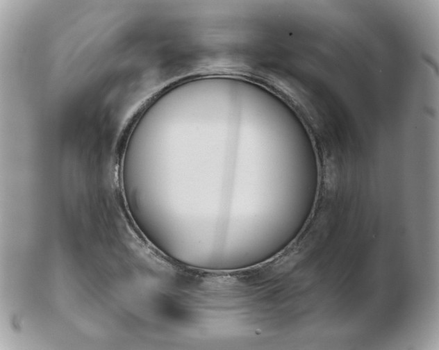 X0000103261462200808291207