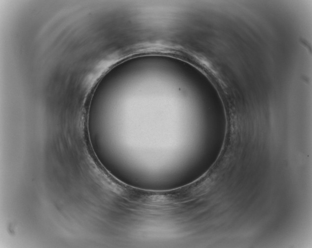 X0000103261463200808291207