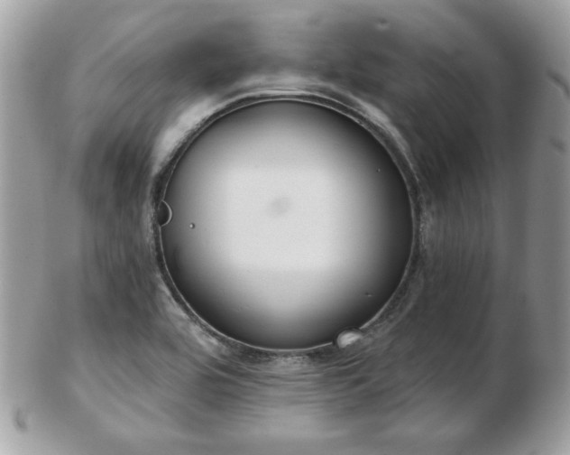 X0000103261464200808291207