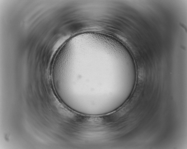 X0000103261466200808291207