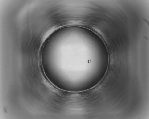 X0000103261467200808291207