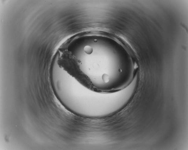 X0000103261468200808291207