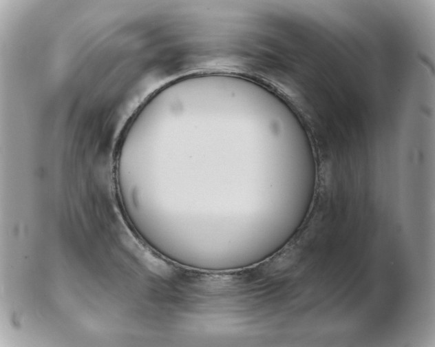 X0000103261470200808291207