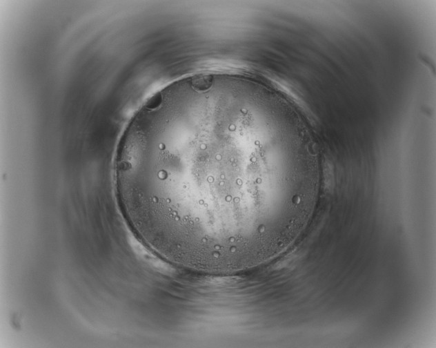 X0000103261471200808291206