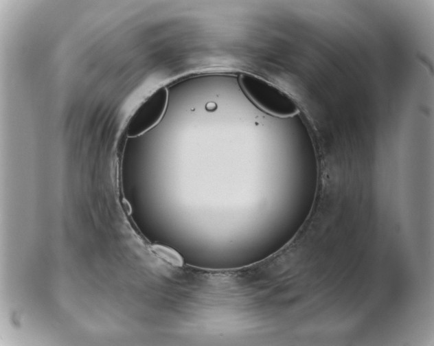 X0000103261472200808291206