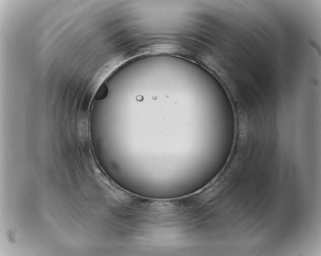 X0000103261473200808291206