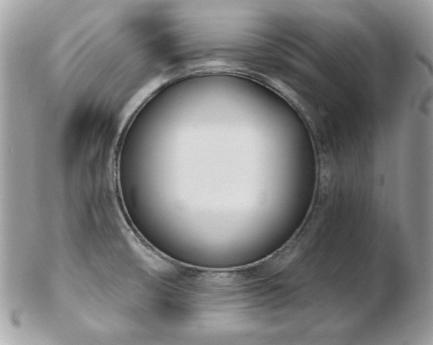 X0000103261474200808291206