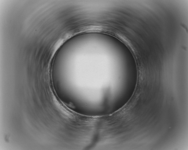 X0000103261475200808291206