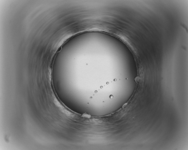 X0000103261476200808291206