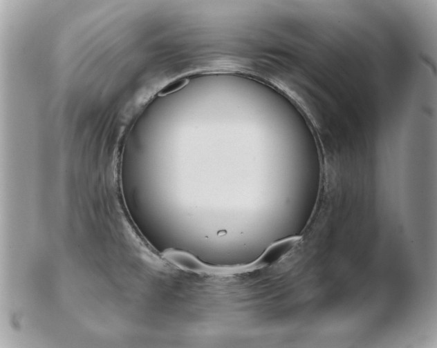 X0000103261477200808291206