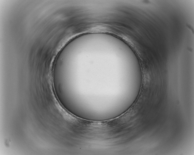 X0000103261478200808291206