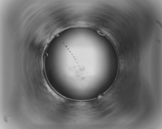 X0000103261479200808291206