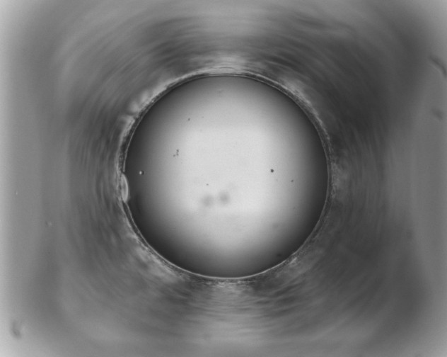 X0000103261480200808291206