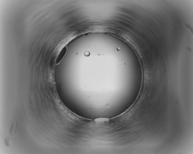 X0000103261481200808291206