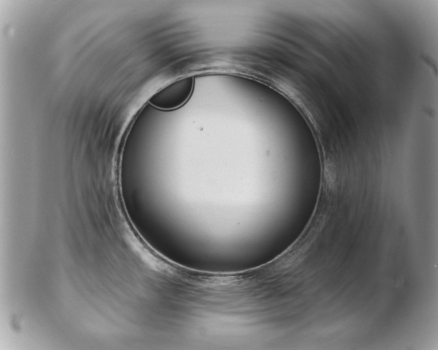 X0000103261482200808291206