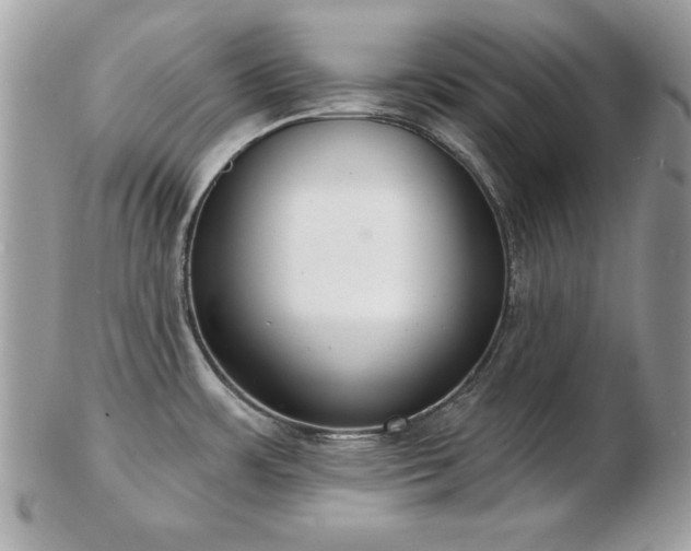 X0000103261483200808291206