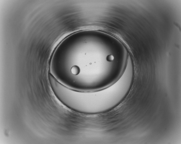 X0000103261484200808291206