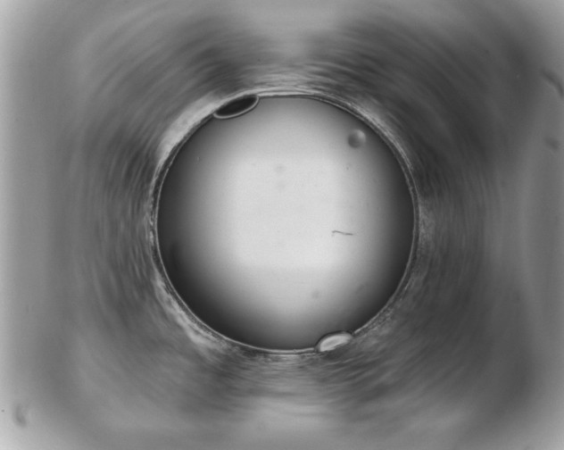 X0000103261485200808291206