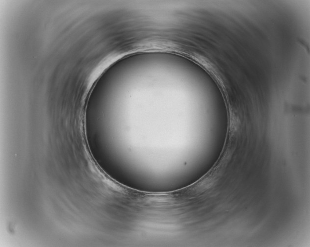 X0000103261486200808291206