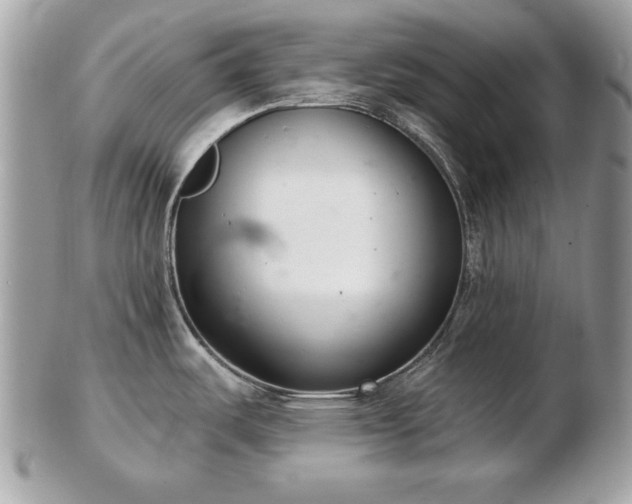 X0000103261487200808291206