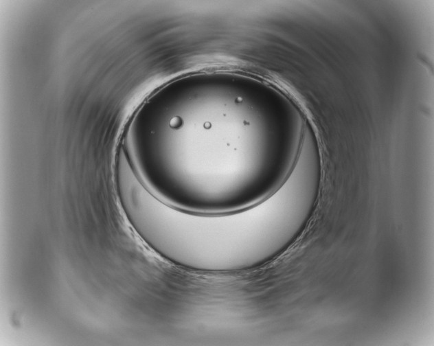 X0000103261488200808291206