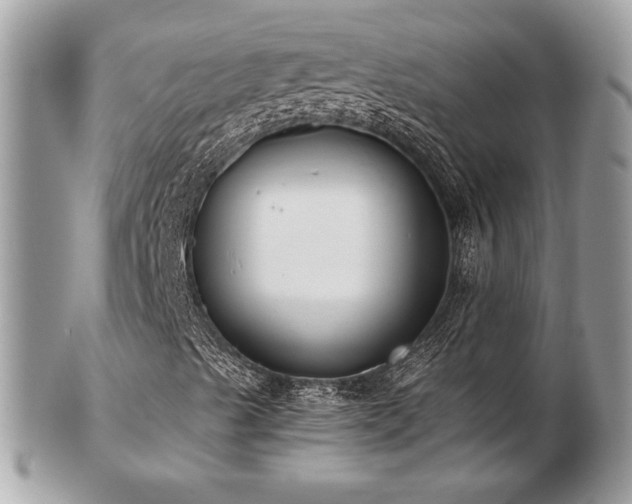 X0000103261489200808291206