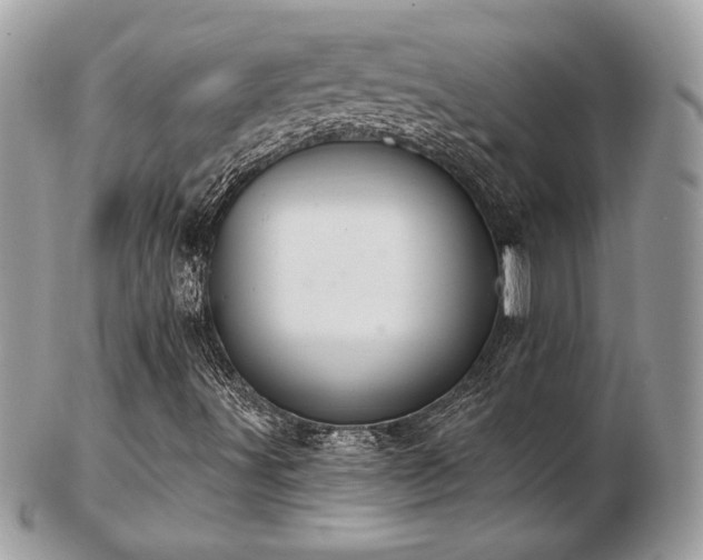 X0000103261491200808291206