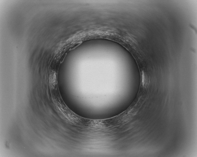 X0000103261492200808291206