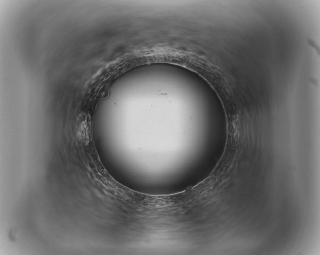 X0000103261493200808291206