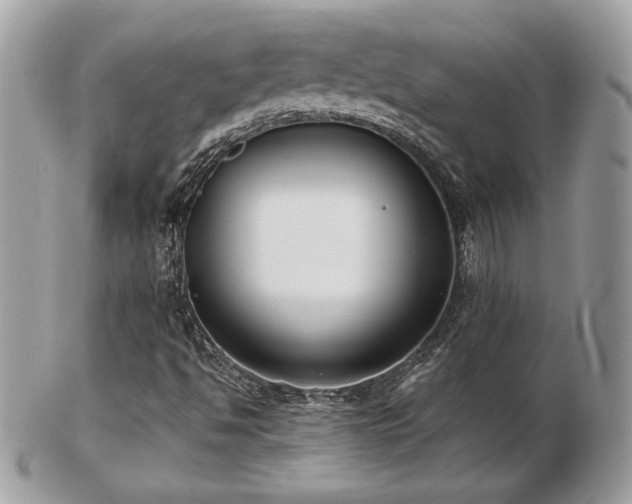 X0000103261494200808291206