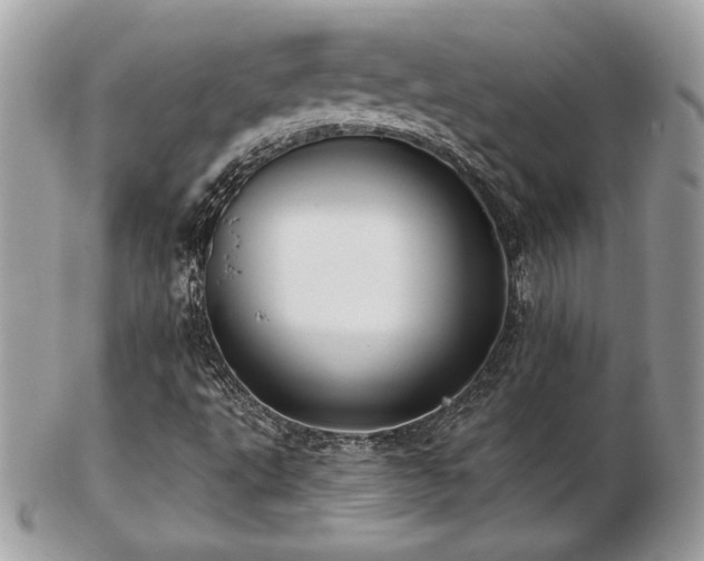 X0000103261495200808291206