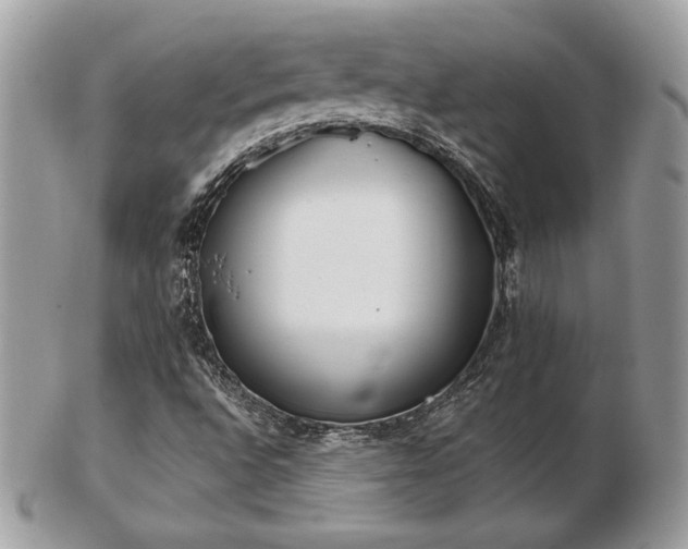 X0000103261496200808291206