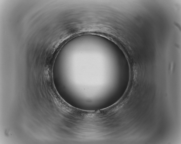 X0000103261497200808291206