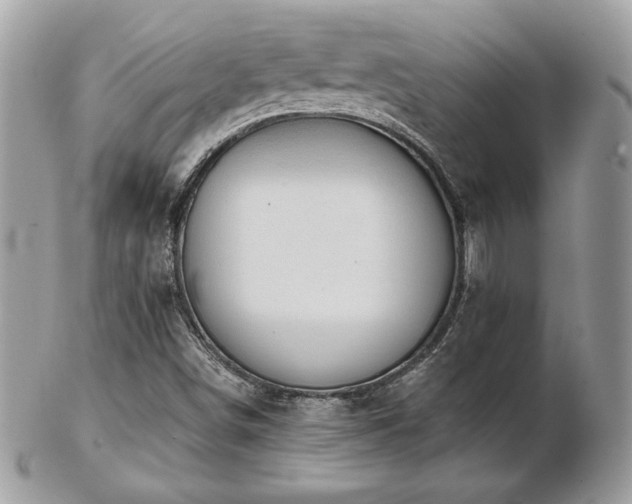 X0000103261498200808291206