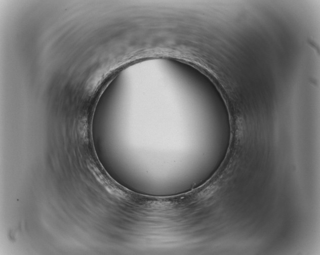 X0000103261499200808291206