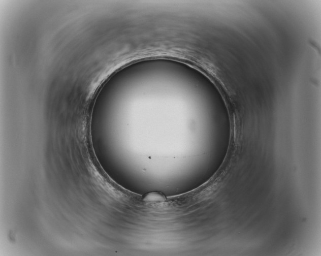 X0000103261500200808291206