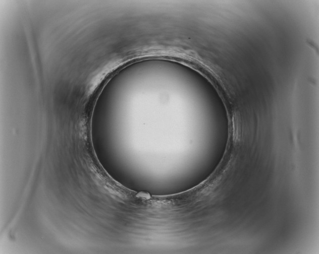 X0000103261501200808291206