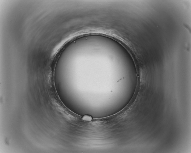 X0000103261502200808291206