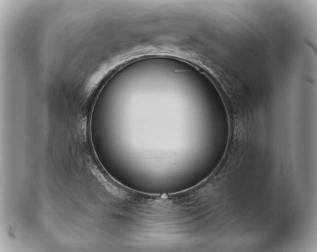 X0000103261503200808291206