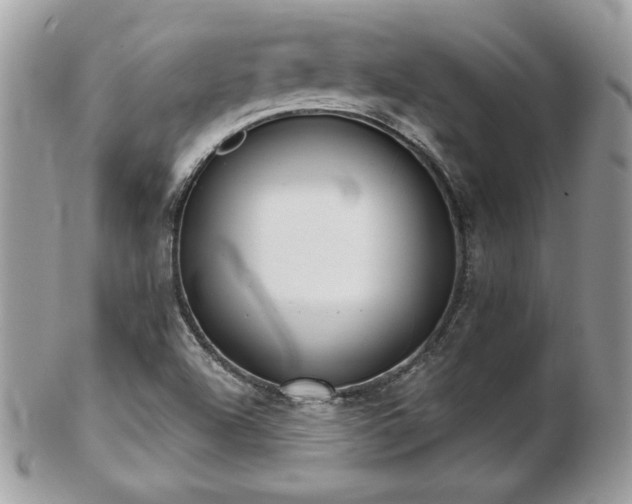 X0000103261504200808291206