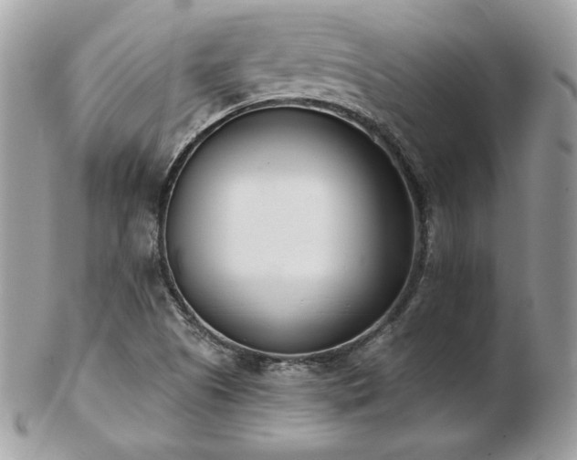 X0000103261505200808291206